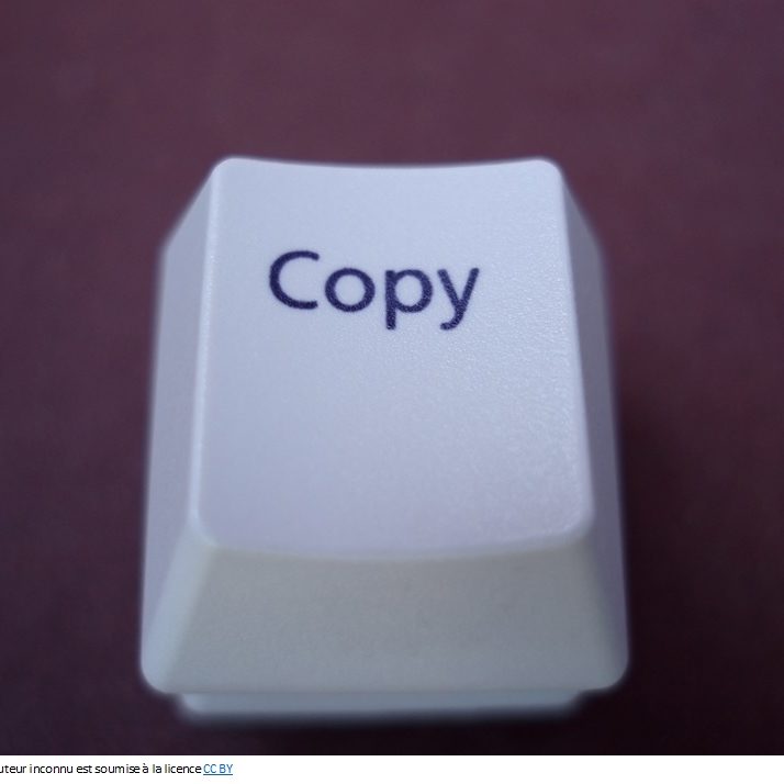 Copy